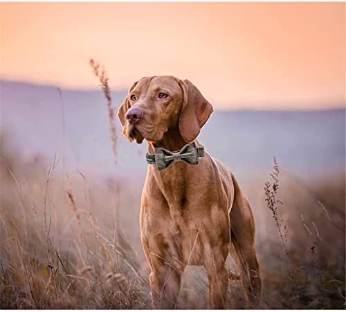 HFDGDFK Kahverengi Ekose Yün Yaka ile Naylon-Sıcak ve Yumuşak Yaylar köpek tasması için Büyük Orta Küçük Köpek (Renk: C,