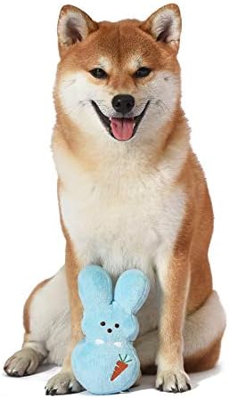 Evcil Hayvanlar için Peeps Bunny 6 İnç Mavi Giydirme Bunny Peluş Köpek Oyuncak / Tüm Köpekler için Havuç Köpek Çiğnemek Oyuncak