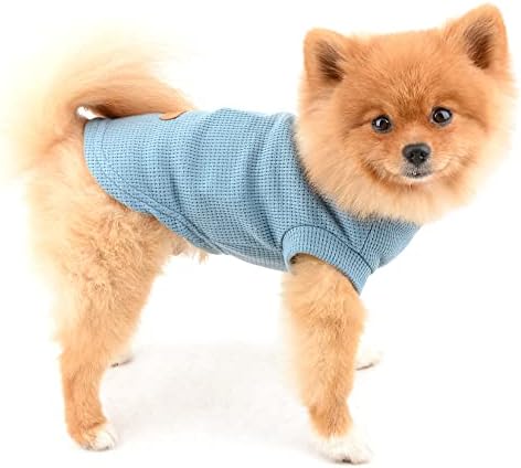SMALLLEE_LUCKY_STORE Pet Düz Örgü Gömlek tişört Tee Küçük Köpek Kedi Erkek Kız Kolsuz Pamuk Tank Top Kazak Yelek Yaz Yavru