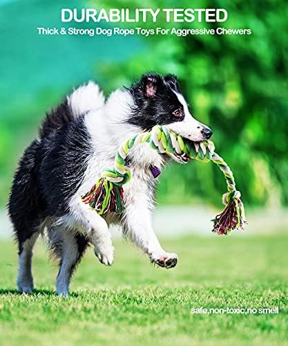 Büyük Köpekler için İnteraktif Köpek Oyuncakları, Agresif Çiğneyiciler için Sert Köpek İpi Oyuncağı Büyük Orta Cins, Kapalı