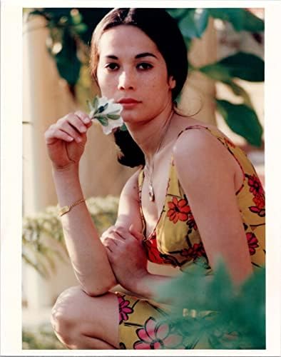 Nancy Kwan vintage 1970'lerin 5x7 fotoğrafı çiçekli güzel poz