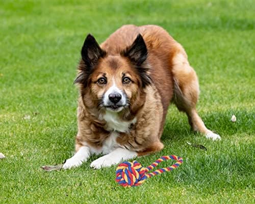 Çılgın Kuyrukları Köpek Halat Oyuncak, 6-Pack Çorap Oyuncak Hediye Seti Pamuk halat düğümü Çiğnemek Oyuncak Orta ve Büyük