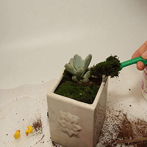 Cabilock Minyatür Kitleri 7 Adet Bitkiler alet takımı Mini Bahçe El Aletleri Ekim Araçları Mini Dikim Bahçe Aracı Kapalı