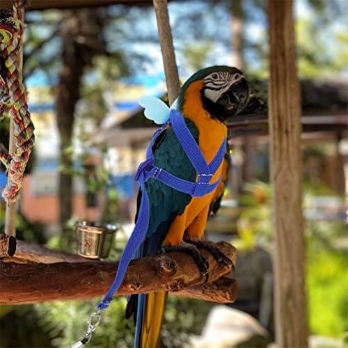 Ipetboom Halat Tasma Evcil Papağan Kuş Koşum ve Tasma Seti Açık Kuş Uçan Halat Kayış çekme halatı Parakeets için Conures