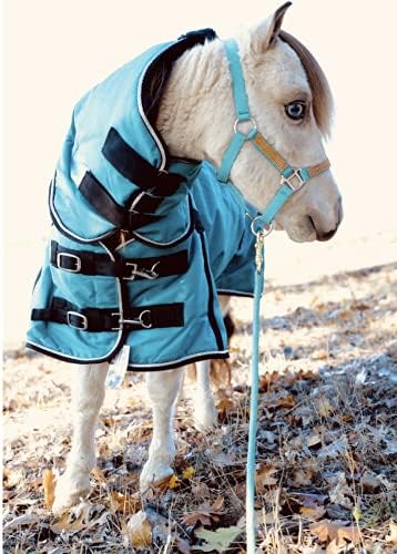 Mini Pony 100 Gram Yırtılmaz Kapüşonlu Hafif Su Geçirmez Battaniye (Deniz mavisi, 40-42)