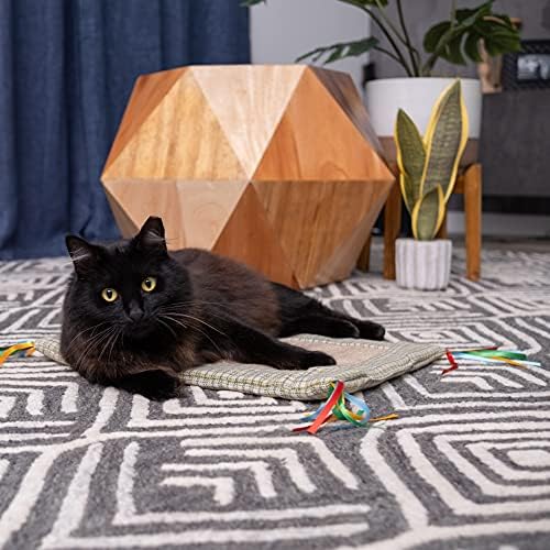 PURRFECT KILIFI Kedi Tırmığı oyun matı Dizeleri ile / Kedi Kırışık Mat / Kedi Tırmığı Pedi / Kırışık Kedi Oyuncak