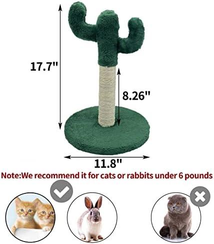 Apatal Kaktüs Kedi Tırmalayıcı, Doğal Sisal Halatlı 15 Yavru Tırmalama Direği Kitty Tırmalama Direği Kapalı Küçük Kediler