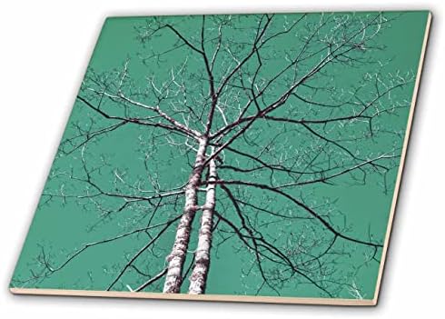 Çok dallı ve mavi-yeşil gökyüzü kiremitli bir ağacın 3dRose Kızılötesi fotoğrafçılığı (ct_350374_1)