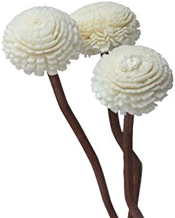 Premium Kahverengi Dalgalı Rattan Çim Çiçekler Kamış Koku Difüzör Yedek Dolum Çubukları (10)
