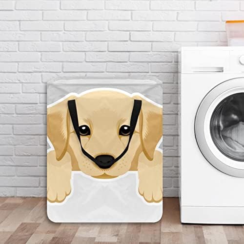 Yavru Köpek Baskı Katlanabilir çamaşır sepeti, 60L Su Geçirmez çamaşır sepetleri çamaşır Kutusu Giysi Oyuncak Depolama Yurt